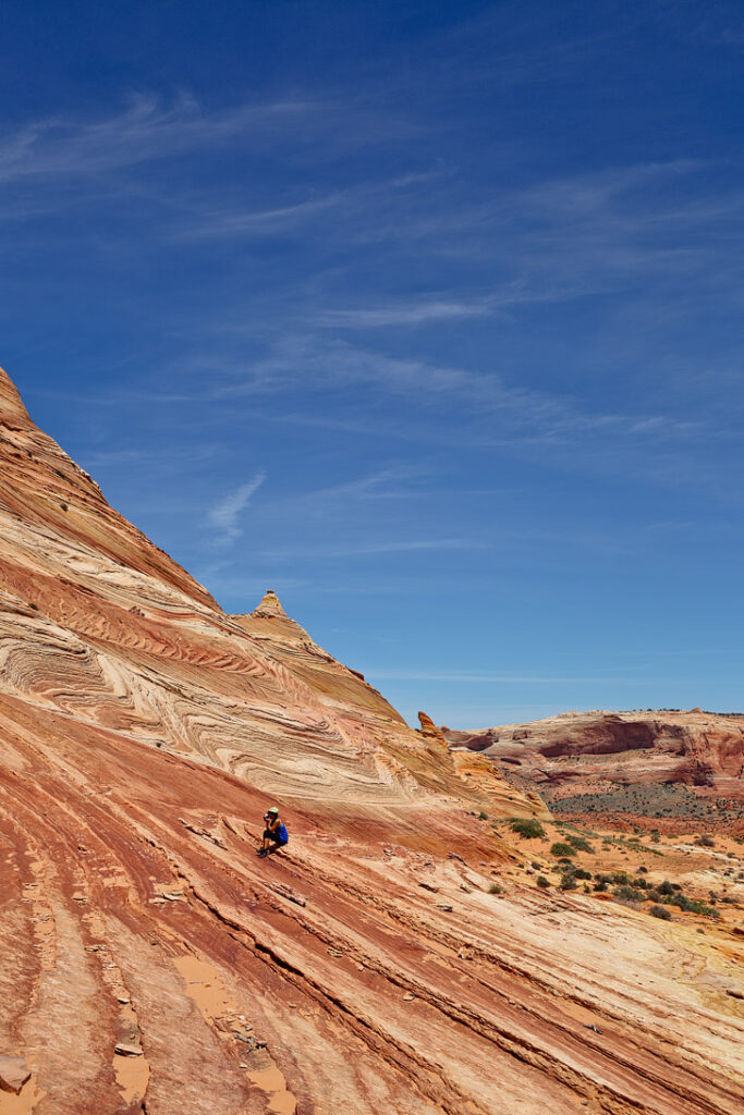 Dinosaur Tracks and Footprints are a quick detour from the Wave Rock Formation in Coyote Buttes North // localadventurer.com