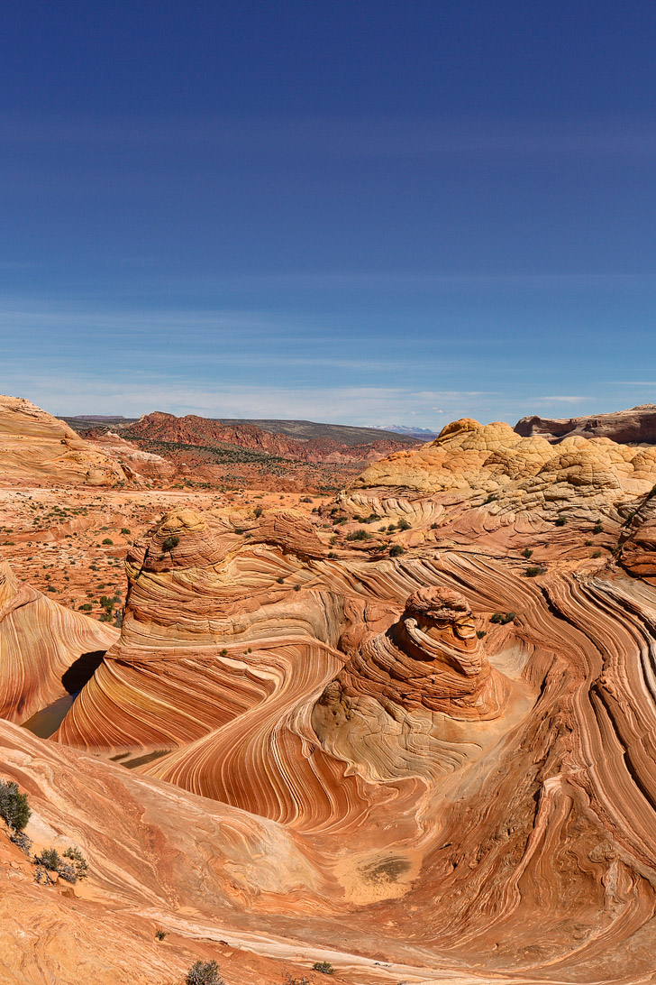 The Wave Rock Formation in Vermilion Cliffs National Monument Arizona // localadventurer.com