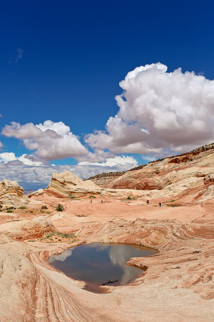 White Pocket Arizona // localadventurer.com