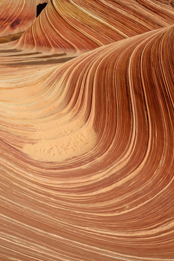 The Wave Rock Formation in Vermilion Cliffs National Monument Arizona // localadventurer.com
