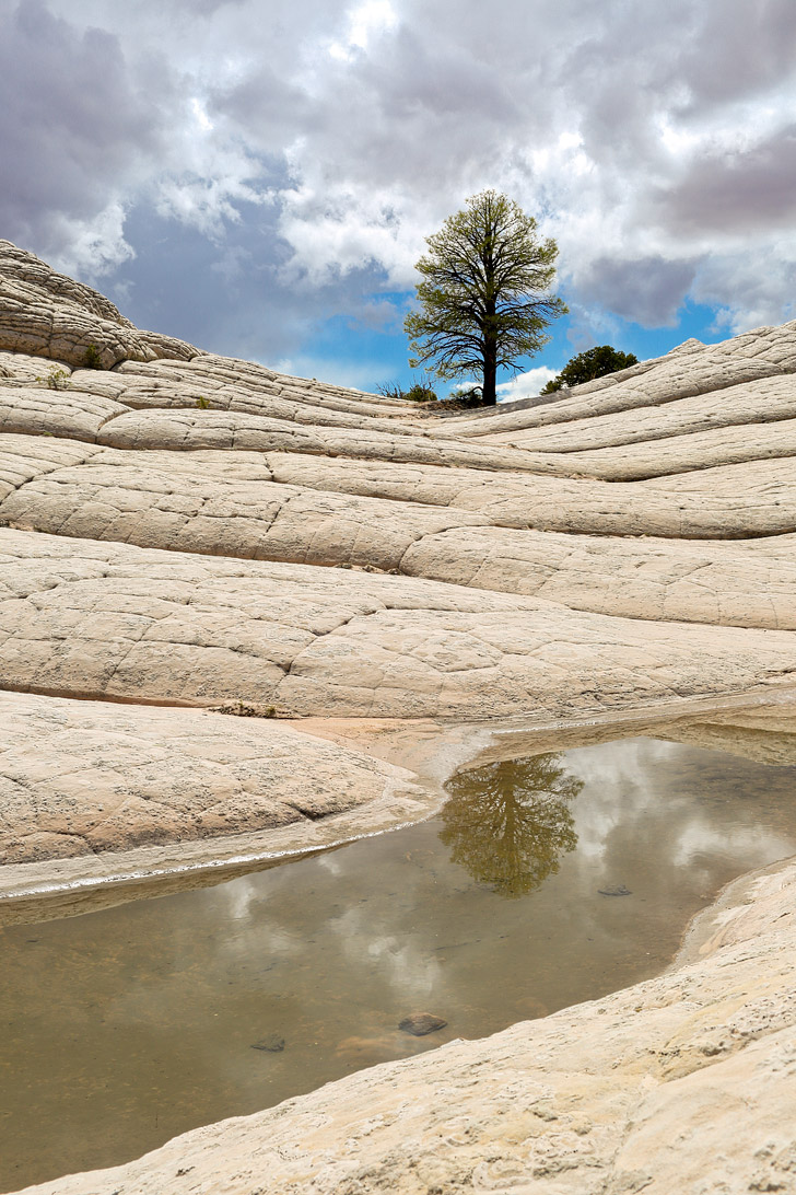 White Pocket AZ - Sandstone Formations in Vermilion Cliffs National Monument near the border of Utah and Arizona // localadventurer.com