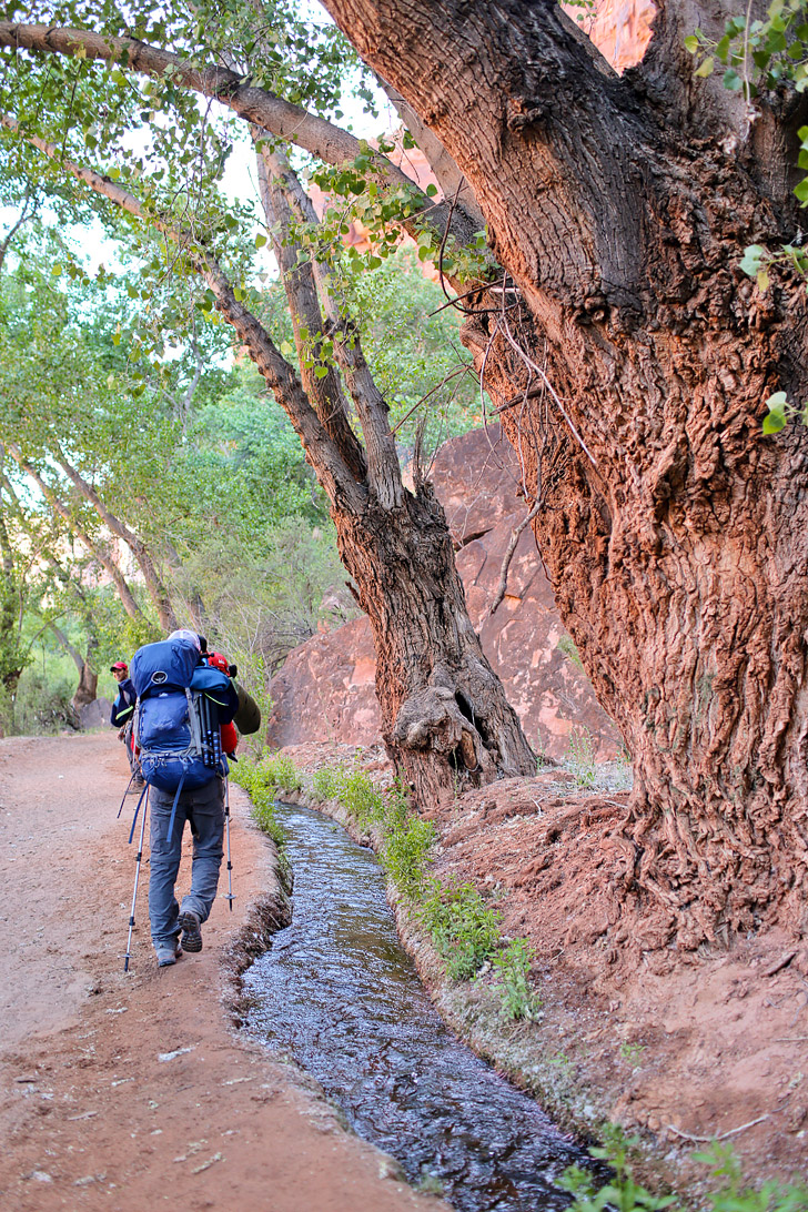 The Hike to Havasu Falls // localadventurer.com