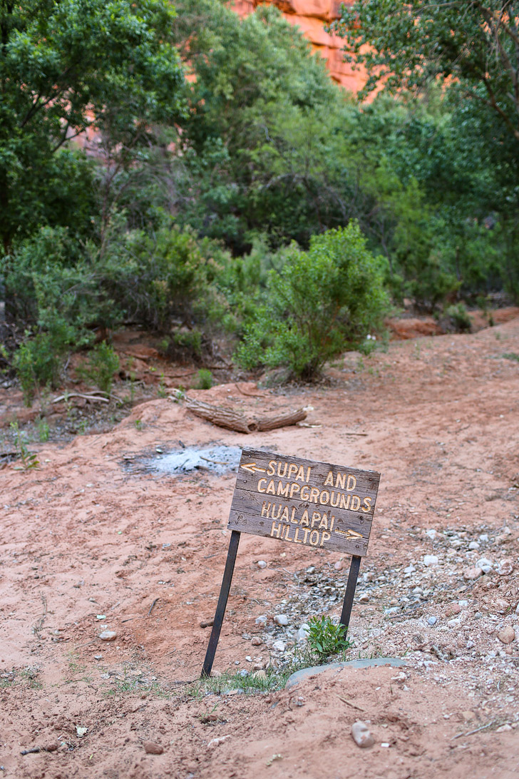 Getting to Havasu Falls // localadventurer.com