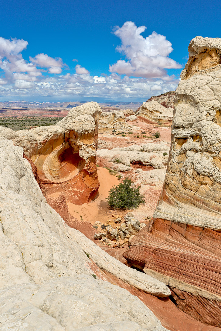 White Pocket AZ - Sandstone Formations in Vermilion Cliffs National Monument near the border of Utah and Arizona // localadventurer.com