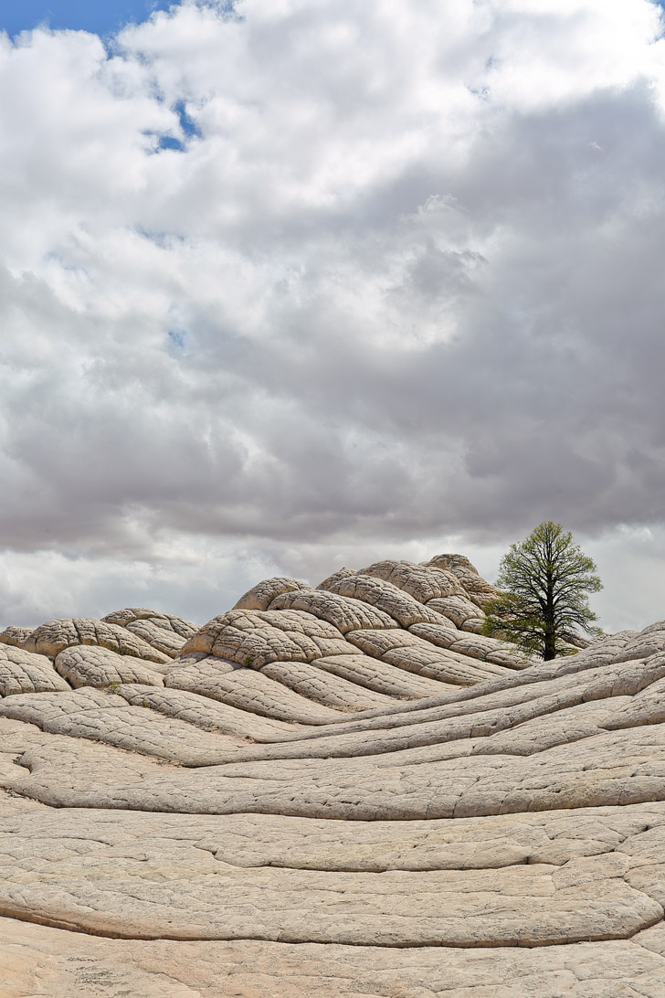 White Pocket Arizona - Sandstone Formations in Vermilion Cliffs National Monument near the border of Utah and Arizona // localadventurer.com