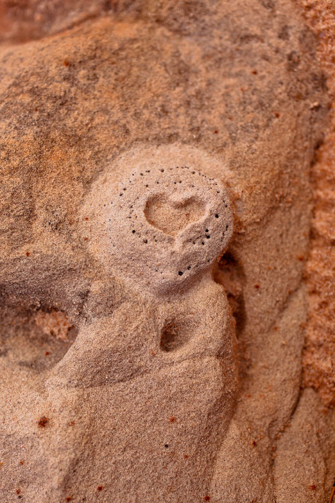 White Pocket Sandstone Formations in Vermilion Cliffs National Monument Arizona // localadventurer.com