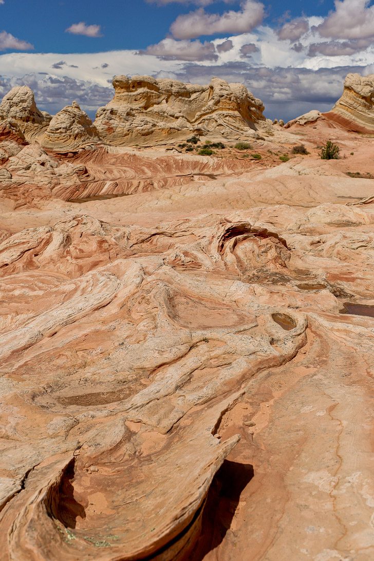 White Pocket AZ - Sandstone Formations in Vermilion Cliffs National Monument near the border of Utah and Arizona // localadventurer.com