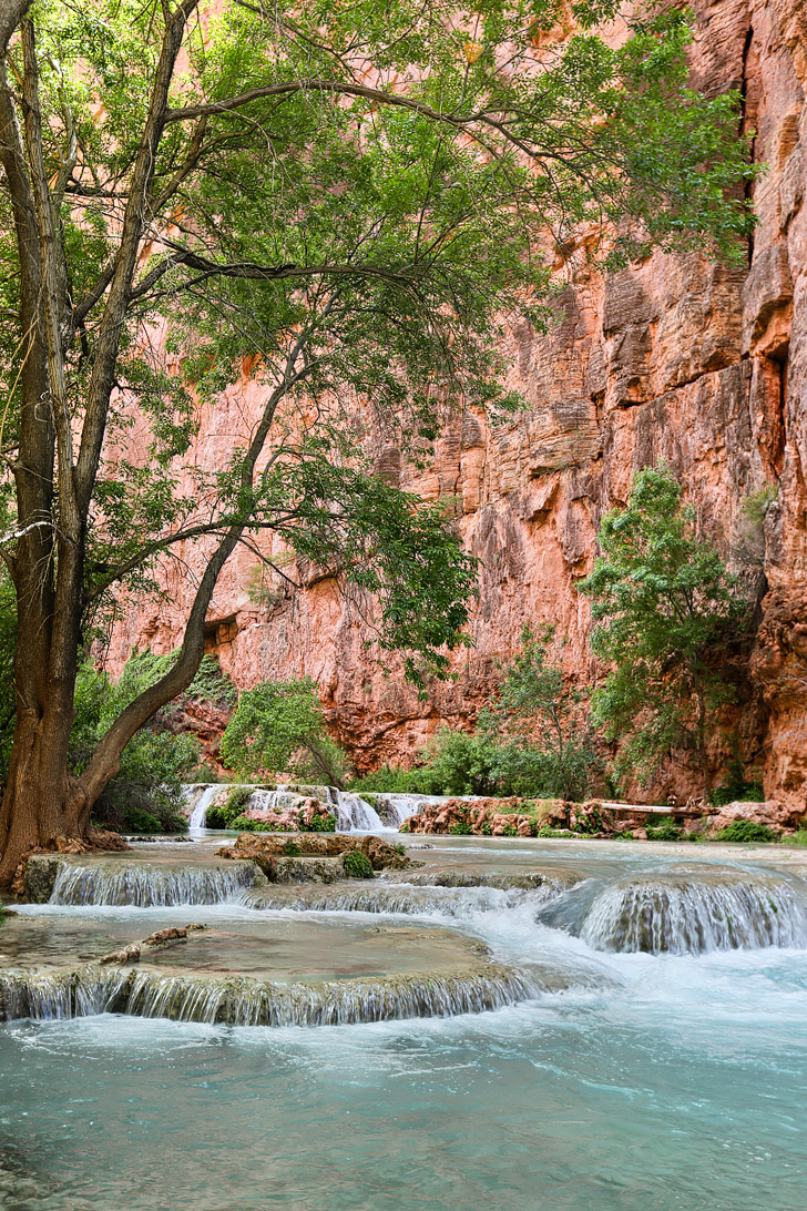 Havasupai Camping - there are small falls all over the Havasupai Indian Reservation that you can even camp right next to // localadventurer.com