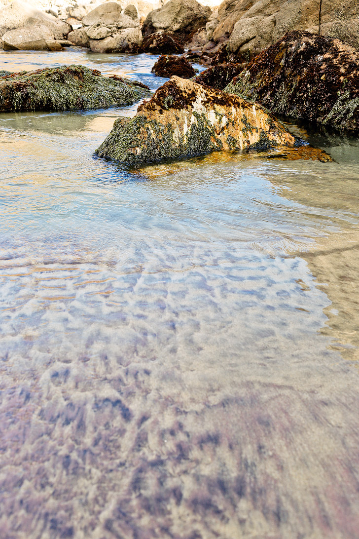 Pfeiffer Beach Big Sur California - famously known for its unique purple sand // localadventurer.com