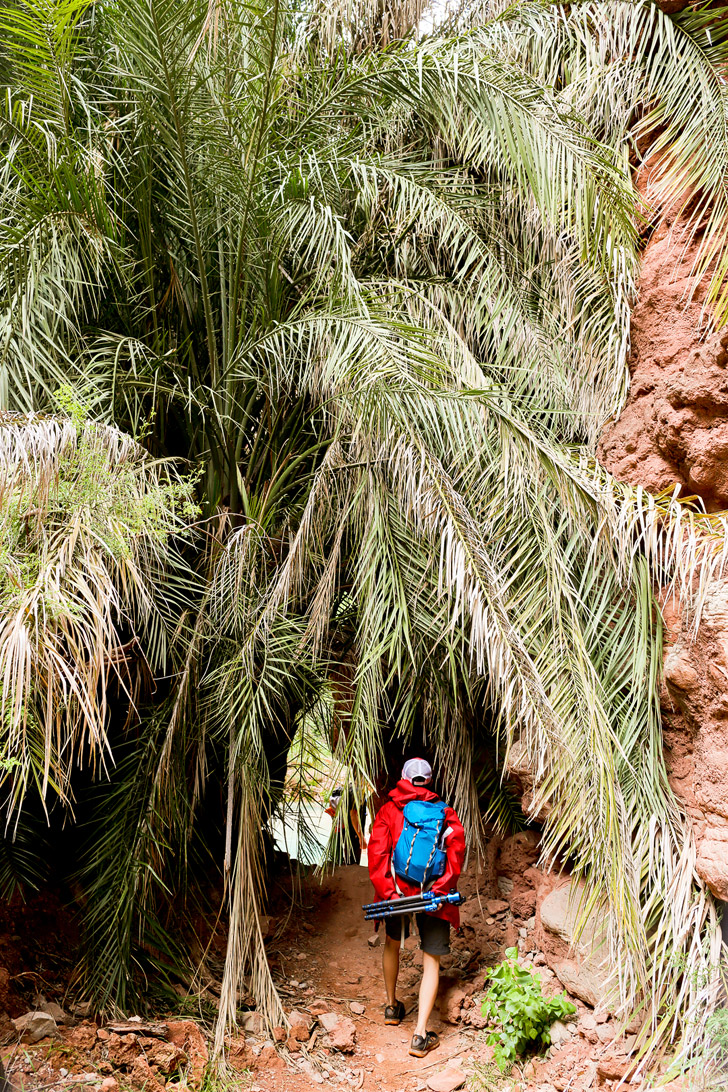 Beaver Falls Hike Havasupai Indian Reservation, Arizona // localadventurer.com