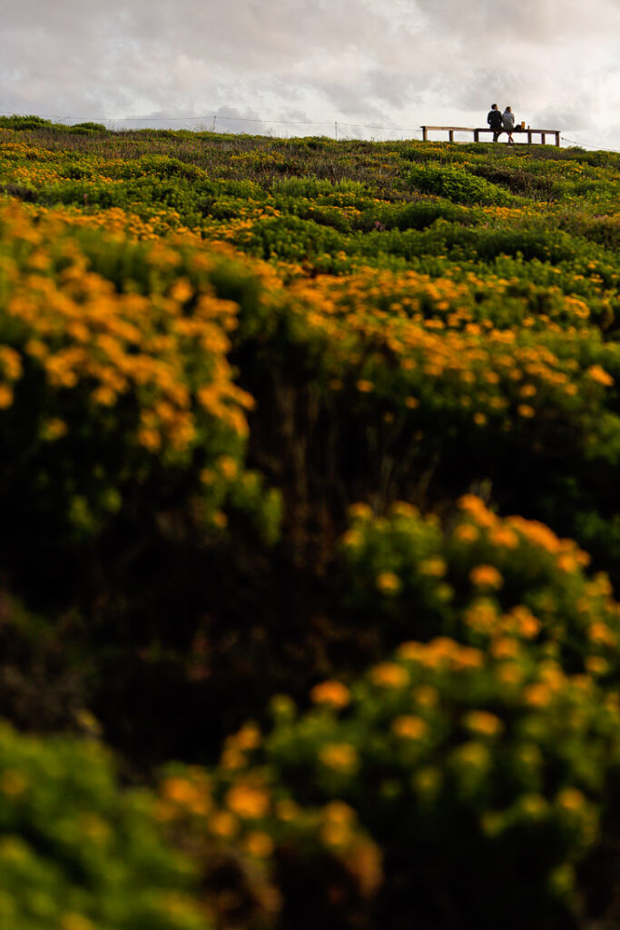 Garrapata State Park California USA // localadventurer.com