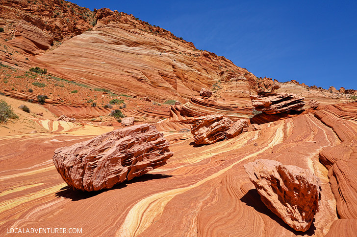 Fatalis Boneyard Coyote Buttes North Vermilion Cliffs National Monument Arizona // localadventurer.com