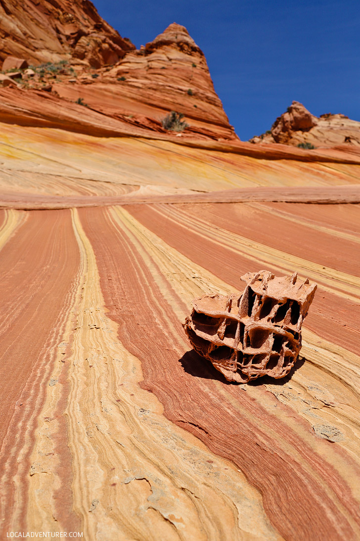 Fatalis Boneyard Coyote Buttes North Vermilion Cliffs National Monument Arizona // localadventurer.com