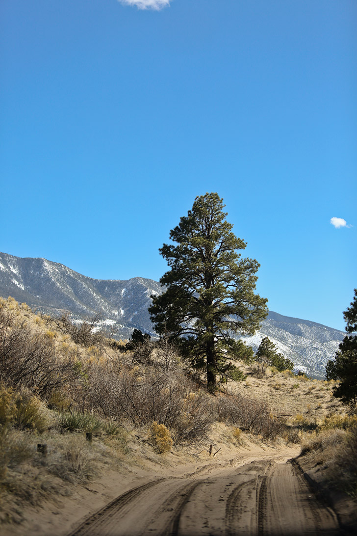 9 Things You Can't Miss at Great Sand Dunes National Park