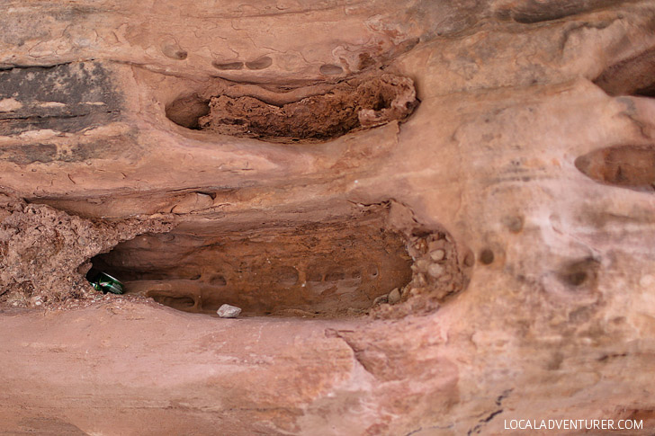 Trash on the Havasupai Falls Hike // localadventurer.com