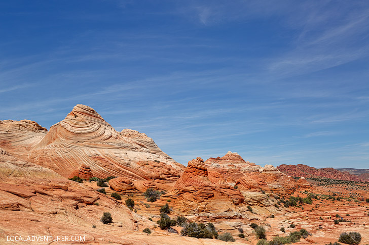 Hiking to the Wave - a popular among hikers and photographers. They only allow 20 people in per day and you are awarded permits by lottery // localadventurer.com