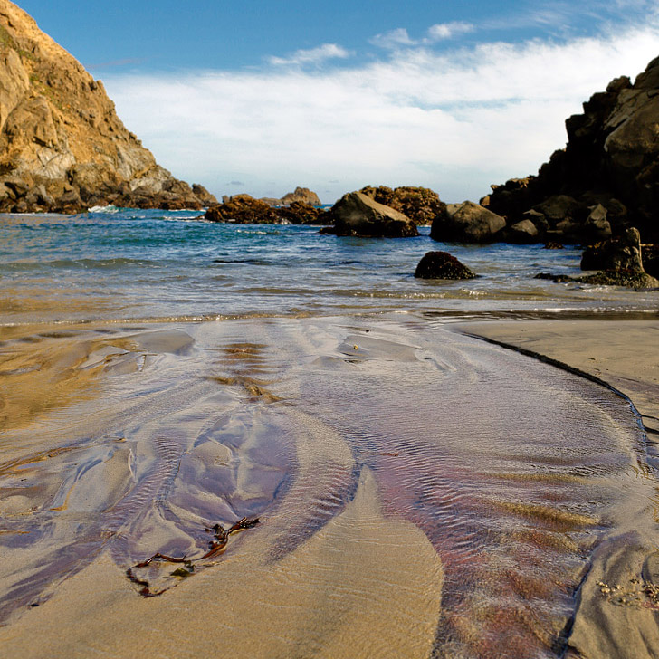 Pfeiffer Beach Big Sur California - famously known for its purple sand beach // localadventurer.com