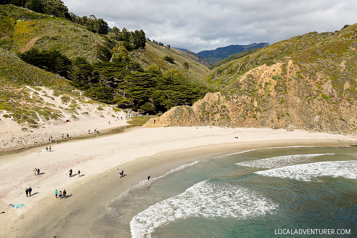 Pfeiffer Beach Big Sur California - famously known for its unique purple sand // localadventurer.com