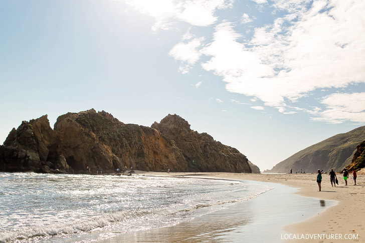 Pfeiffer State Beach - famously known for its purple sand is in Big Sur, Monterey County, California // localadventurer.com