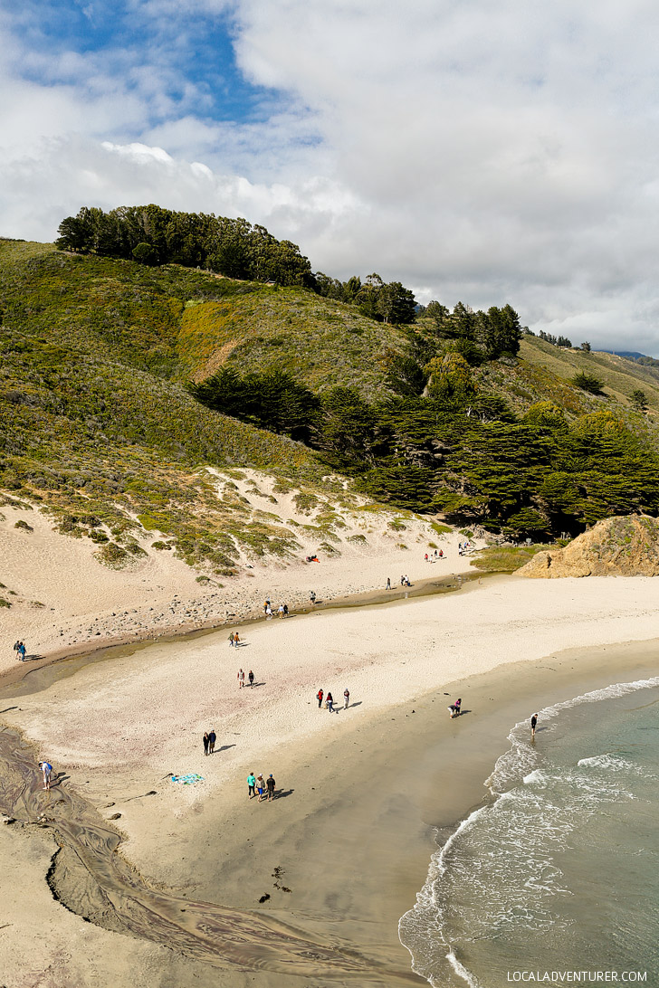 Pfeiffer State Beach - famously known for its purple sand is in Big Sur, Monterey County, California // localadventurer.com