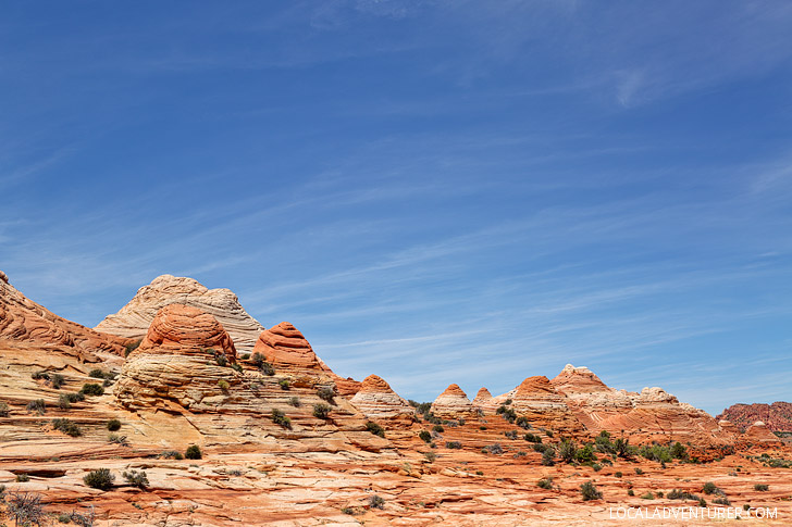 Hiking to the Wave - a popular among hikers and photographers. They only allow 20 people in per day and you are awarded permits by lottery // localadventurer.com