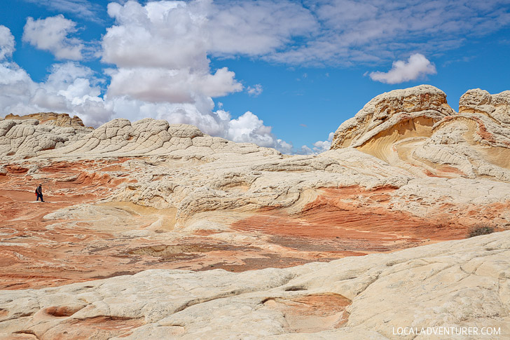 White Pocket Arizona - Sandstone Formations in Vermilion Cliffs National Monument near the border of Utah and Arizona // localadventurer.com