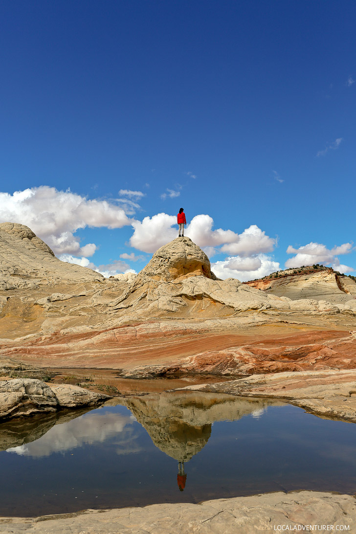 White Pocket Arizona - Sandstone Formations in Vermilion Cliffs National Monument near the border of Utah and Arizona // localadventurer.com