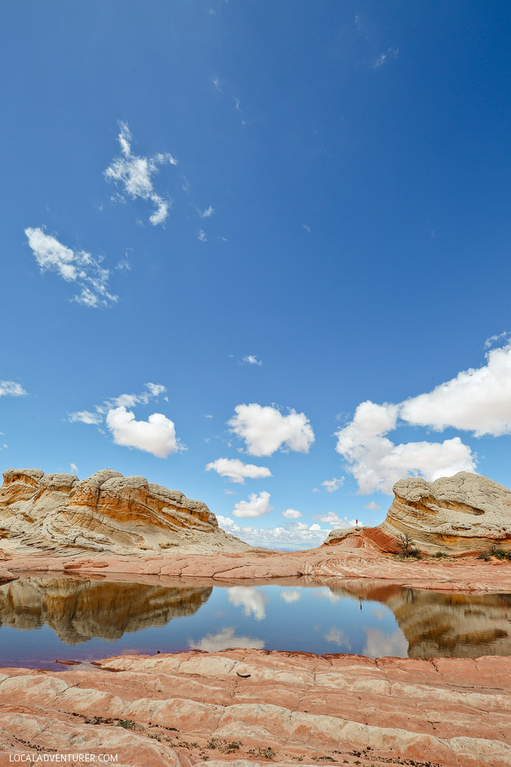 White Pocket Arizona - Sandstone Formations in Vermilion Cliffs National Monument near the border of Utah and Arizona // localadventurer.com