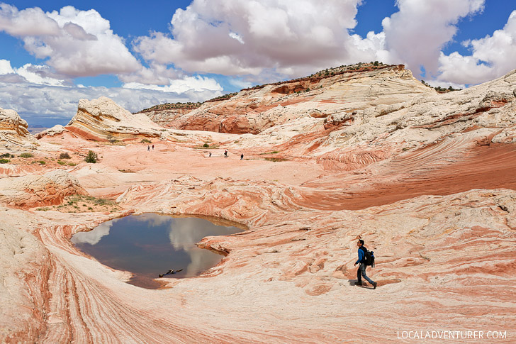 White Pocket Arizona - Sandstone Formations in Vermilion Cliffs National Monument near the border of Utah and Arizona // localadventurer.com