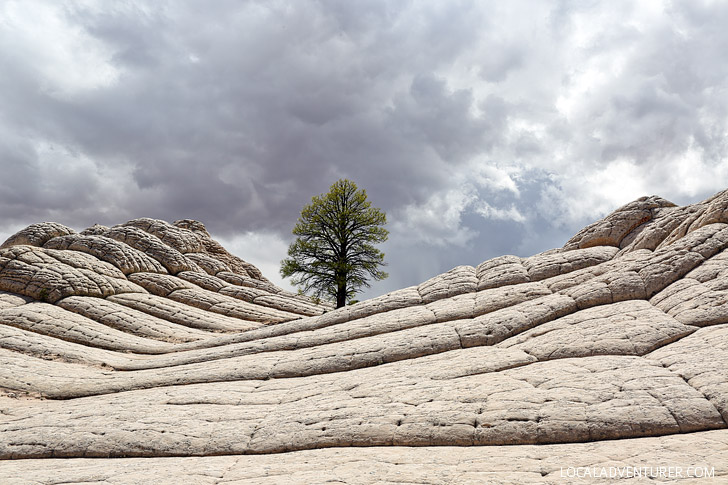 White Pocket Arizona - Sandstone Formations in Vermilion Cliffs National Monument near the border of Utah and Arizona // localadventurer.com