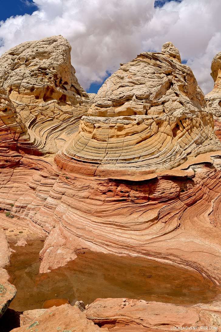 White Pocket Arizona - Sandstone Formations in Paria Canyon Vermilion Cliffs National Monument near the border of Utah and Arizona // localadventurer.com