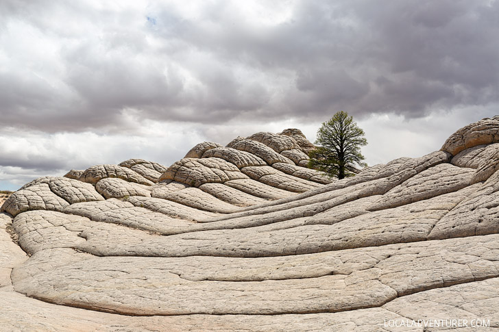 White Pocket Arizona - Sandstone Formations in Paria Canyon Vermilion Cliffs National Monument near the border of Utah and Arizona // localadventurer.com