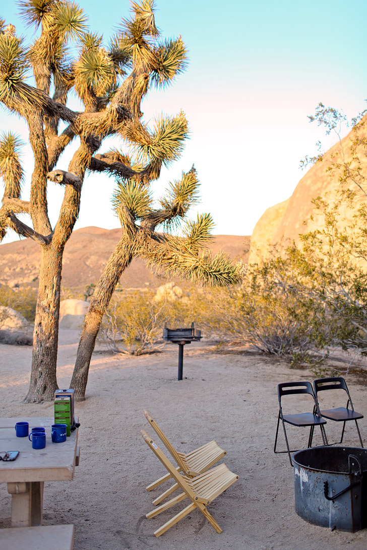 Belle Campground Joshua Tree National Park has the most spacious sites and nicest campgrounds // localadventurer.com