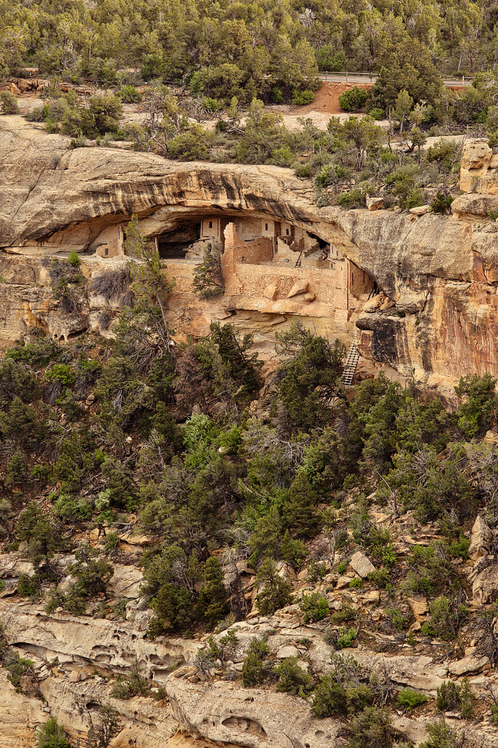 Mesa Verde Cliff Dwellings - So hard to believe that these structures still exist in the US // localadventurer.com