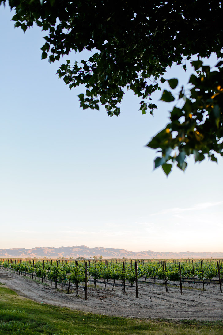 Frey Ranch in Fallon Nevada - This is arguably the nation's only Estate Distillery, meaning every process is done in house! It’s run by a fifth generation Nevada farmer, and they currently have a killer gin and vodka // localadventurer.com