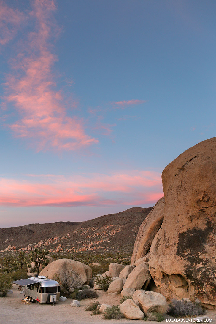 Belle Campground Joshua Tree National Park California USA // localadventurer.com