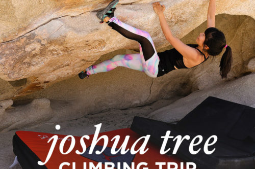 Joshua Tree Climbing Trip with Bota Box