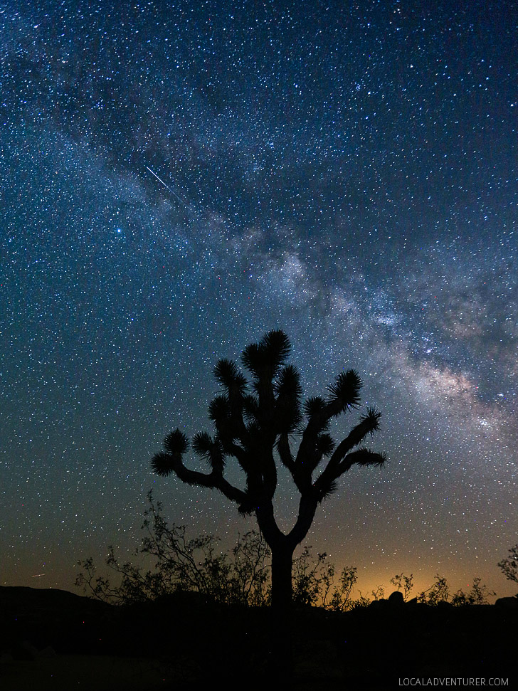 Stargazing at Joshua Tree National Park // localadventurer.com