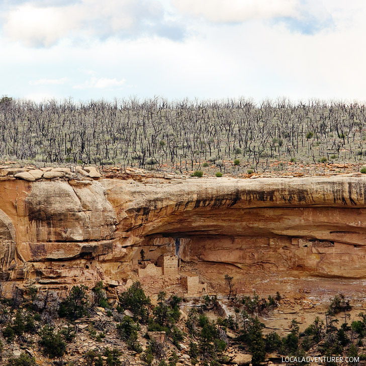 Mesa Verde Hemenway House // localadventurer.com