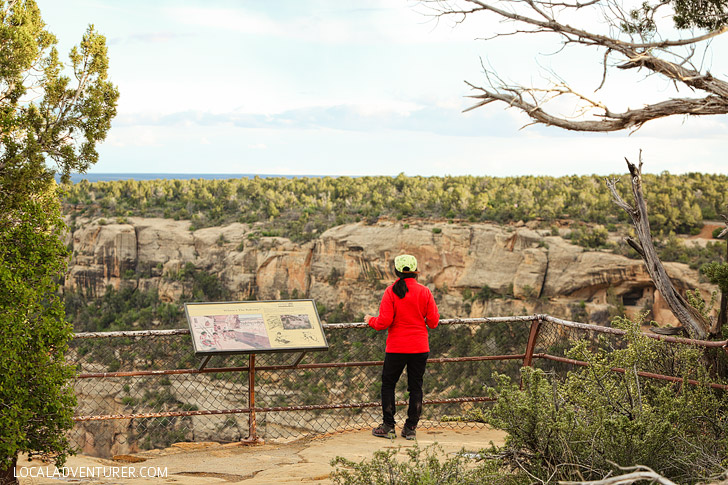 Soda Canyon Overlook Trail - short, easy trail in Mesa Verde National Park // localadventurer.com