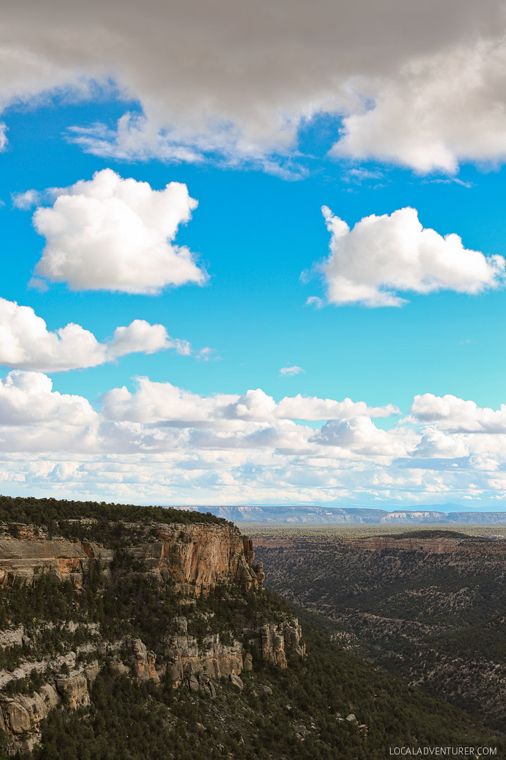 The Navajo Canyon Colorado USA - You can find cliff dwellings built by Ancestral Puebloans // localadventurer.com