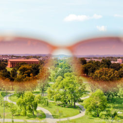 Enjoying the View with Maui Jim Sunglasses in Memphis