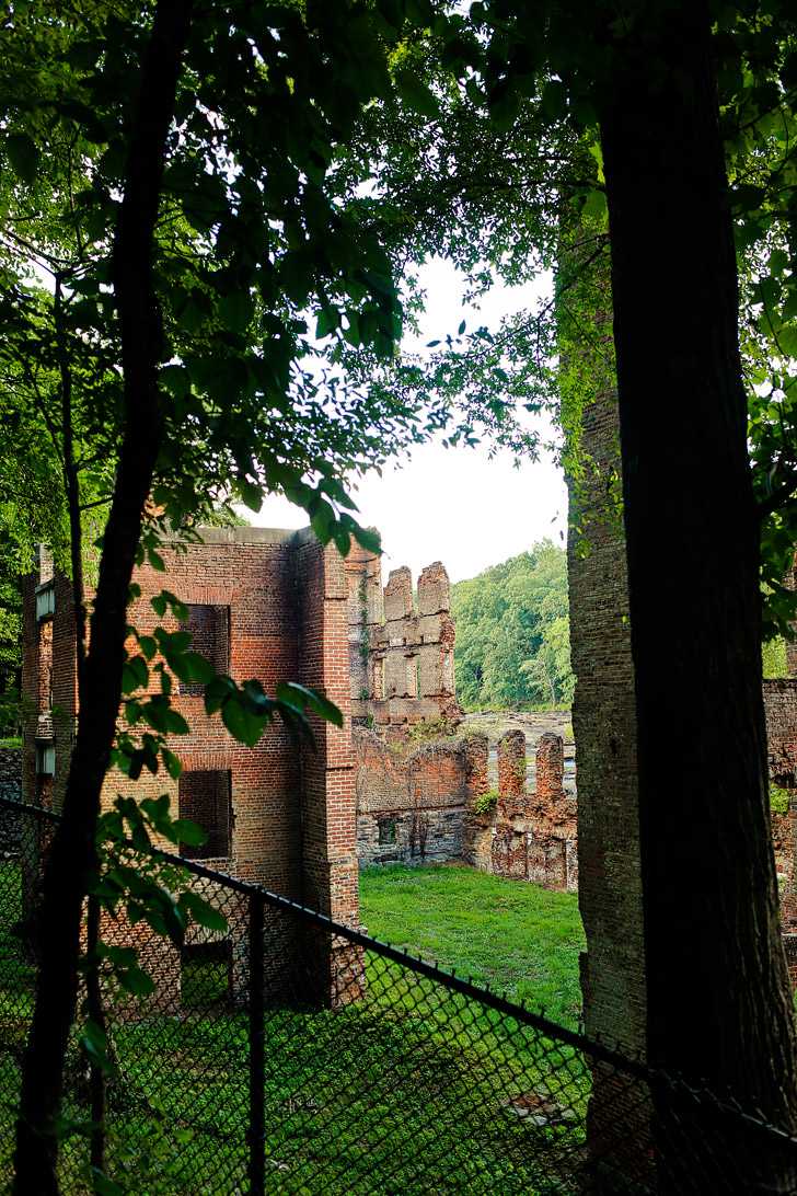 On the Set of Mockingjay - Sweetwater Creek State Park, Lithia Springs, Georgia // localadventurer.com