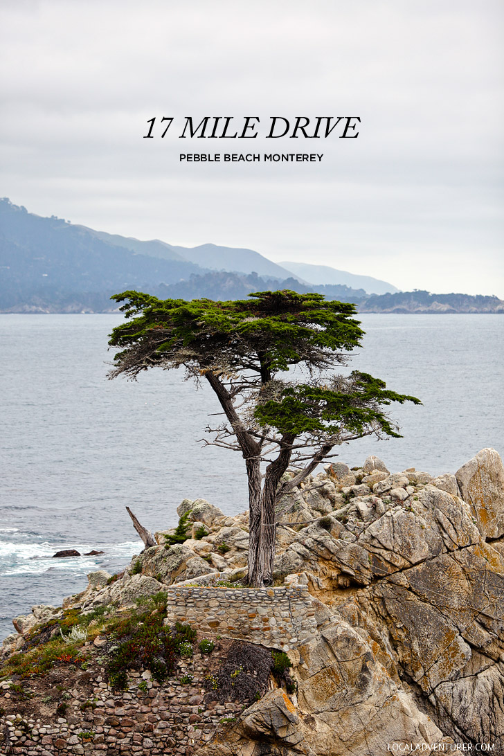 Guide to the Beautiful and Famous 17 Mile Drive Monterey County // localadventurer.com