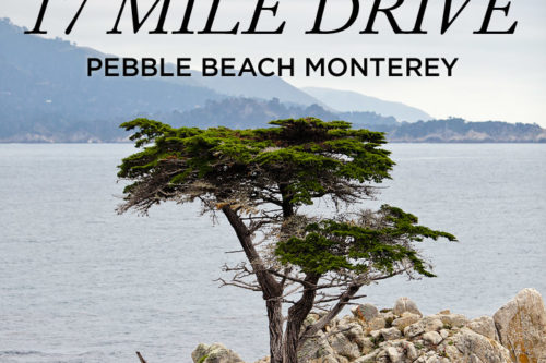 A Quick Guide to the 17 Mile Drive in Monterey
