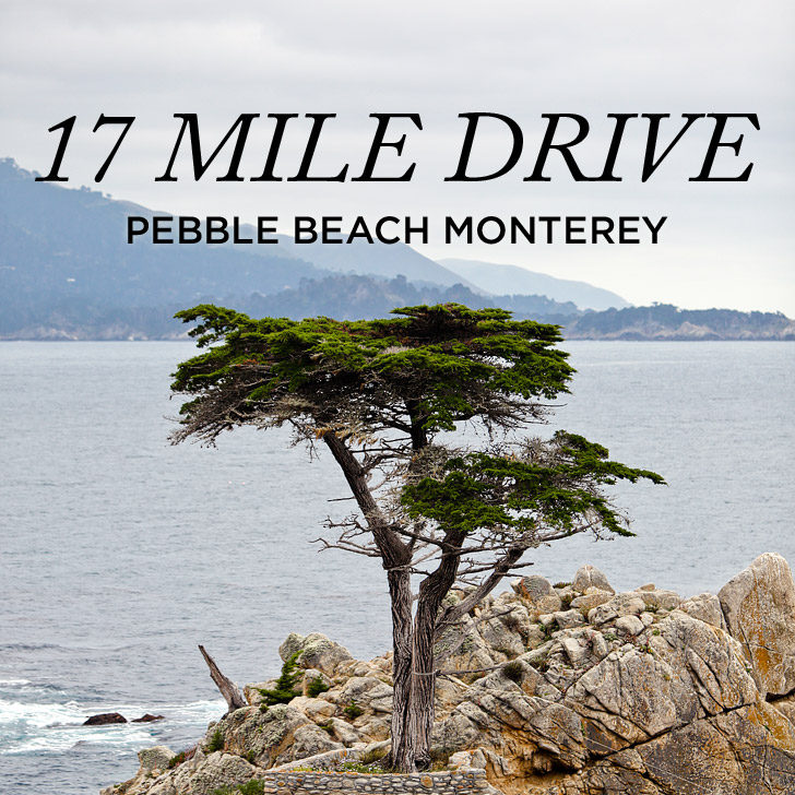 Guide to the Beautiful and Famous 17 Mile Drive Monterey County // localadventurer.com