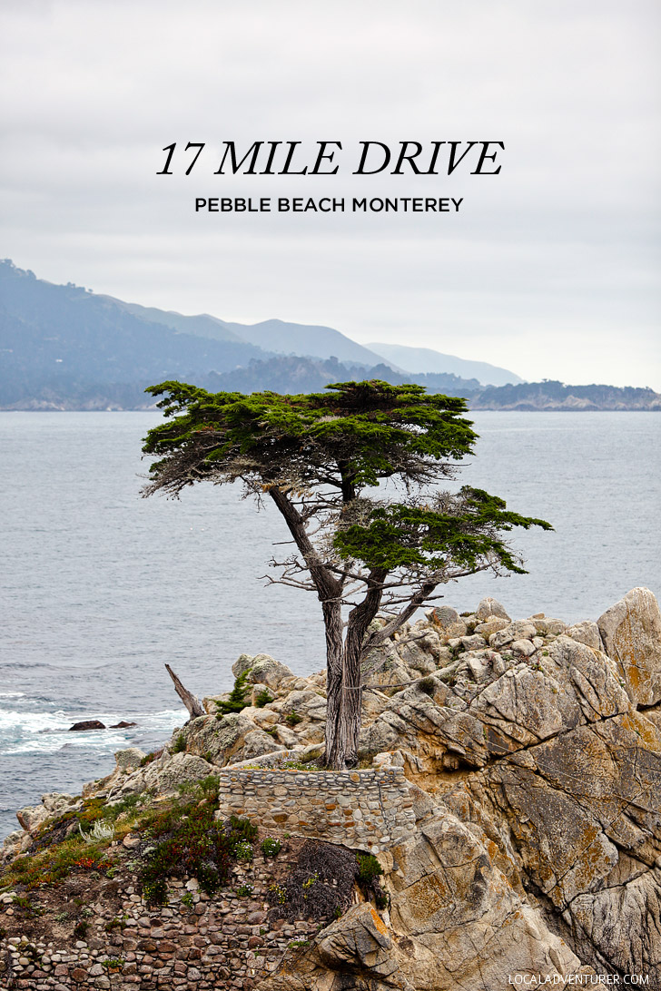 A Quick Guide to the Beautiful 17 Mile Drive Monterey California // localadventurer.com