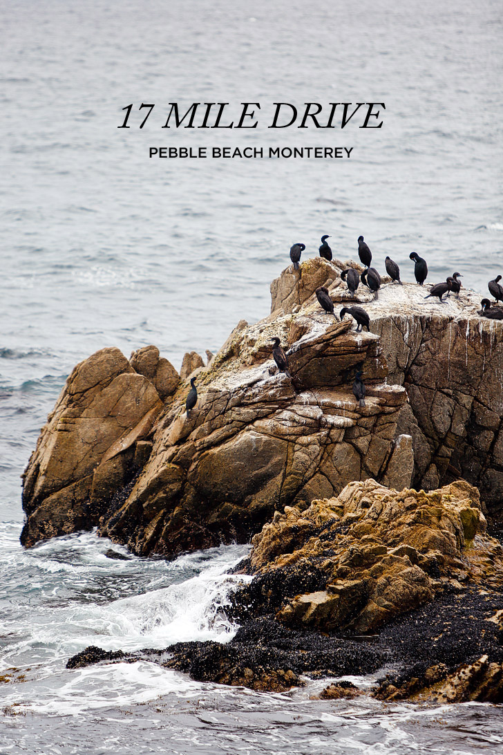 17 Mile Drive Scenic Tour Pebble Beach Monterey County California // localadventurer.com