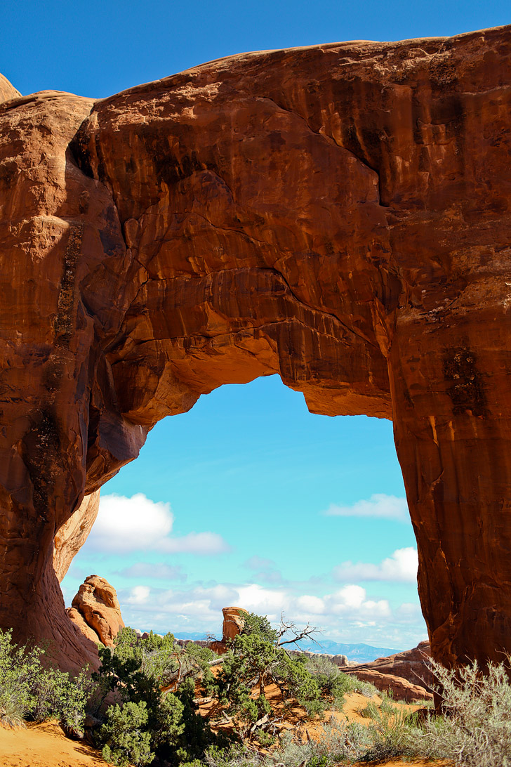 Pine Tree Arch, Devils Garden Trail, Arches National Park, Moab Utah // localadventurer.com