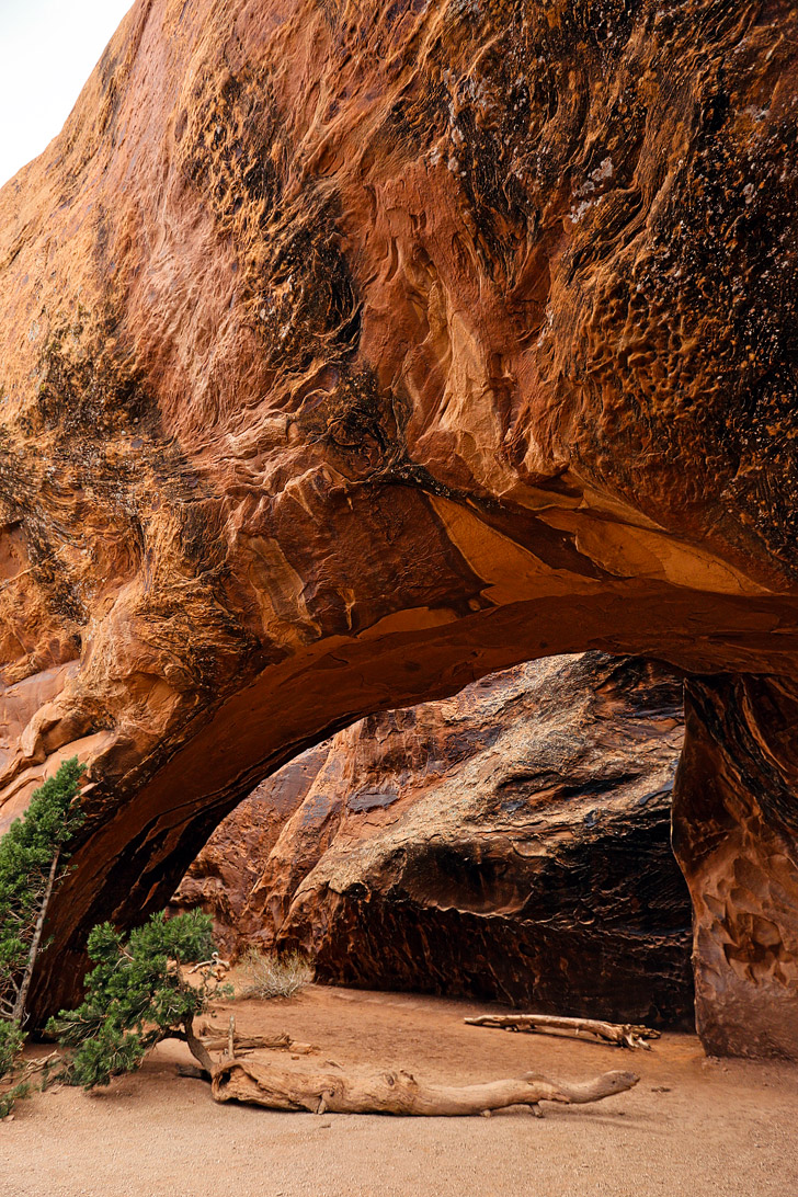 Navajo Arch Arches National Park Utah (+9 Must See Arches in Arches National Park) // localadventurer.com